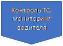 Блок-схема: ссылка на другую страницу: Контроль ТС, мониторинг водителя