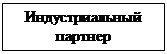 Подпись: Индустриальный партнер