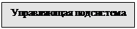 Подпись: Управляющая подсистема