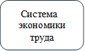 Система экономики труда