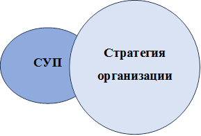 СУП,Стратегия организации