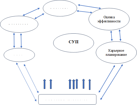 СУП,Цифровые технологии,Найм,Адаптация,Обучение,Оценка эффективности,Карьерное планирование