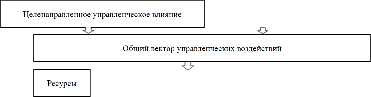 Стихийное управленческое влияние,Целенаправленное управленческое влияние,Общий вектор управленческих воздействий,Ресурсы