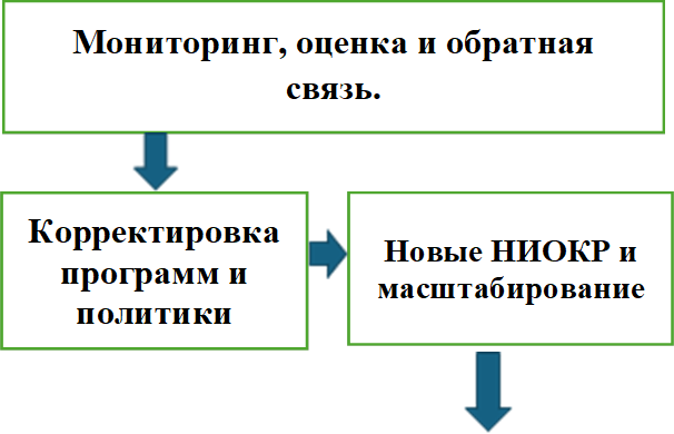 Мониторинг, оценка и обратная связь.,Корректировка программ и политики,Новые НИОКР и масштабирование